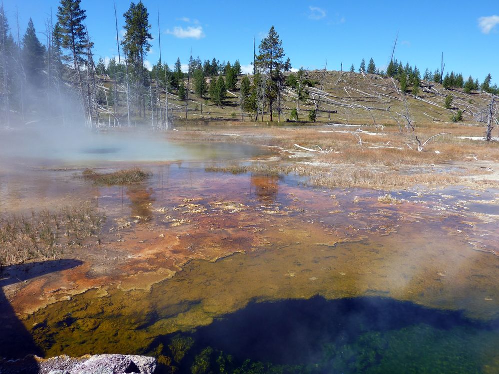 Yellowstone Old faithfull et ses environs (154).JPG